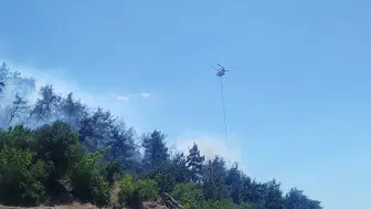 Balıkesir ormanlarında alevler yükseliyor