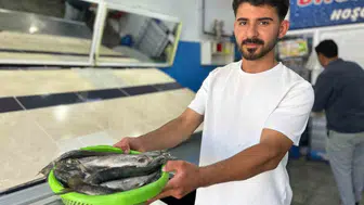 Van Gölü’nde balık sezonu açıldı İnci kefali tezgaha döndü