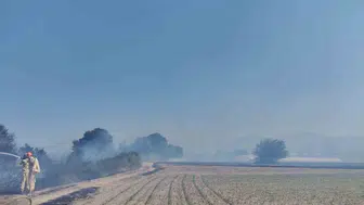 Serik’te anız yangını seraya sıçradı