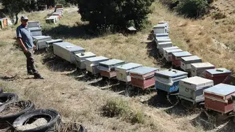 Burdur’da arı kovanları tek tek kayıt altına alınıyor
