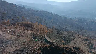 Balıkesir Gömeç ormanlarında alevlerle mücadele üçüncü gününde sürüyor