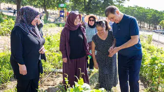 İzmir’in mahalle bostanlarında hasat vakti