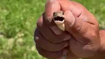 İnegöllü çiftçiden cesur hamle