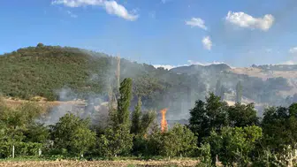 Laçin’de orman yangını korkusu bitti