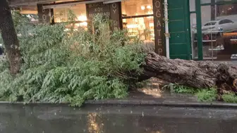 Kars sokakları sağanak altında kaldı