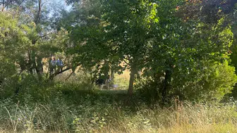 Eskişehir Osmangazi Üniversitesi yakınında bir kişi ölü bulundu