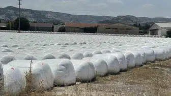 Burdur Şeker Fabrikası çevresini kokudan geçilmez hale getiren küspelere ceza kesti