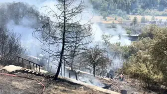 Fethiye'de orman yangını paniği