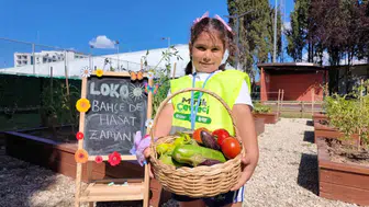 Kocaeli’de minik çiftçiler ilk hasadını yaptı
