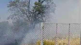 Siirt Kurtalan’da bahçe yangını ağaçları küle çevirdi