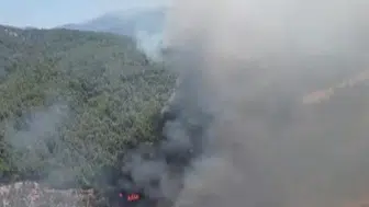 Aydın Kuyucak’ta ormanlık alanda yangın paniği