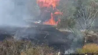 Beypazarı’nda ot yangını ahşap evi küle çevirdi