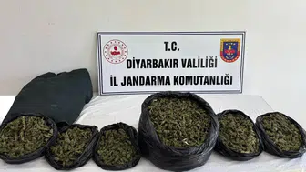 Diyarbakır jandarmasından 119 noktaya eş zamanlı narkotik operasyonu