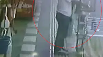 Kızıltepe'de kafes hırsızlığı Papağanı böyle çaldılar