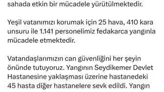 Muğla Seydikemer orman yangınında yüzlerce ev tahliye edildi