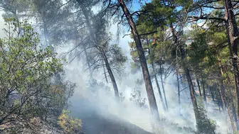 Bursa Büyükorhan orman yangını kontrol altına alındı