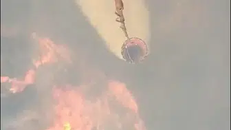 Efeler’de orman yangını paniği