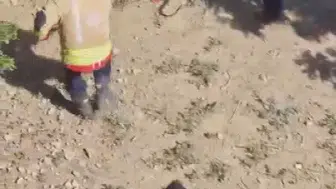 Hatay’da bahçeye giren yılan itfaiyeye ter döktürdü