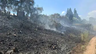 Antalya Serik’te korkutan yangın evlere ulaşmadan durduruldu