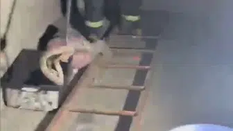 Osmaniye'de bir evin mutfağında zehirli misafir alarmı