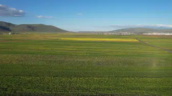 Ardahan ovası yazın gelişiyle kartpostallık görüntülere sahne oluyor