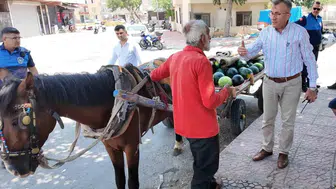 Sıcakta çalıştırılan at yeni hayatına merhaba dedi