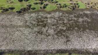 Samsun doğa tutkunlarının yeni rotası oldu