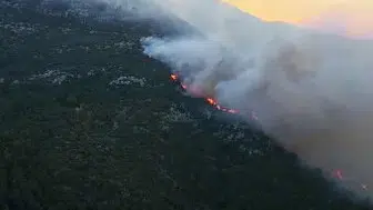 Kaş ormanlarında sabah saatlerinde yangın paniği