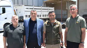 Malatya çiftçisi için hasat zamanı TMO alımlara başladı