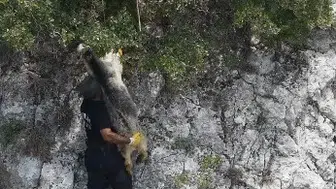 Mersin'de sarp kayalıklarda mahsur kalan keçi kurtarıldı