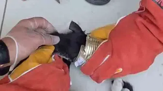 Batman sokaklarında kedi kurtarma operasyonu