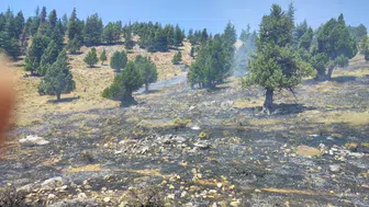 Kahramanmaraş'ta orman yangınlarını ekipler kısa sürede söndürdü