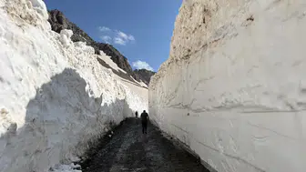Temmuz ayında kar mesaisi Cilo Dağı’nda yollar açılıyor