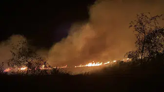 Bodrum’da gece saatlerinde otluk alanda yangın paniği