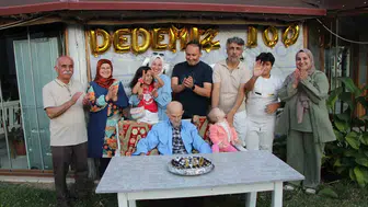 Amasya’da asırlık çınar için büyük sürpriz