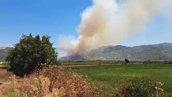 Söke'de tarım arazisinde korkutan yangın