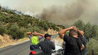 Aydın Çine’deki orman yangını rüzgarla birlikte yeniden alevlendi