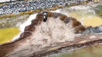 Tatvan sahilindeki dolgu çalışması Van Gölü için tehlike çanlarını çalıyor