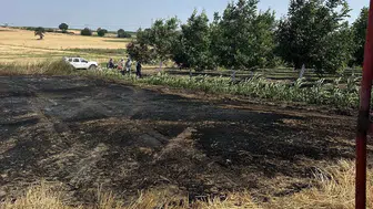 Bandırma’da tarlada başlayan yangın korkuttu