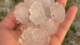 Tekirdağlı çiftçinin emeği doluyla tarlada kaldı