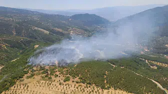 Aydın Kuyucak’ta orman yangını kontrol altına alındı