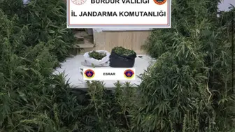 Burdur'da kenevir tarlasına jandarma baskını
