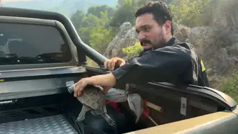 Antalya Kumluca alevlere teslim