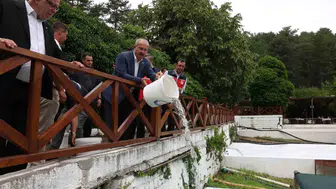 Çanakkale Ayazma Deresi’nde balık nüfusu artıyor