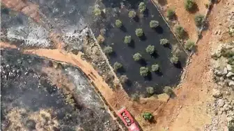 Antalya Kepez'de orman yangını paniği