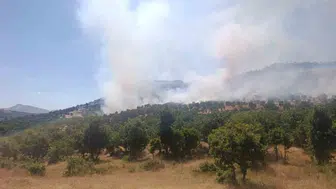 Diyarbakır Çüngüş’te alevler ağaçlık alanı sardı