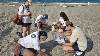 Antalya sahillerinde caretta nöbeti başladı