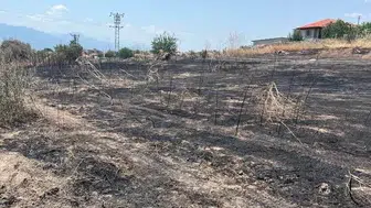 Sarıgöl'de otluk alan yangını büyümeden söndürüldü