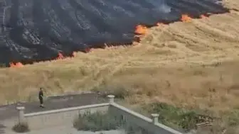 Elazığ’da gece yarısı 19 noktada aynı anda yangın çıktı