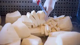 Peynir severlere Tarım Bakanlığı'ndan kritik uyarı: O parti numarasına dikkat!